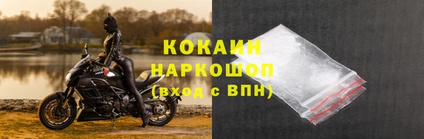 молекула духа Богданович