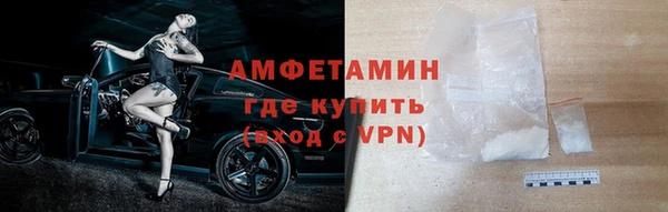 молекула духа Богданович