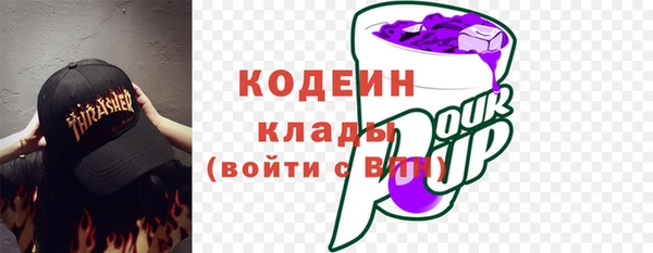 молекула духа Богданович