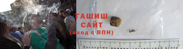 молекула духа Богданович