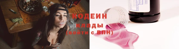 молекула духа Богданович