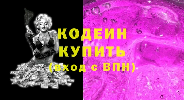 молекула духа Богданович