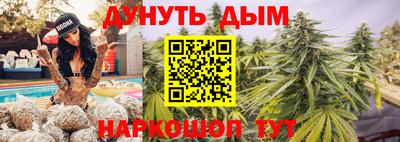 прущие грибы Канаш