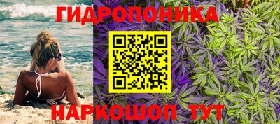 альфа пвп Кандалакша