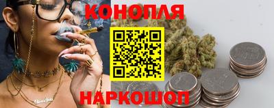 прущие грибы Канаш
