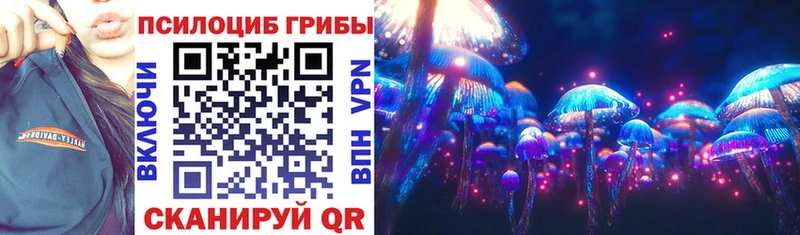 Галлюциногенные грибы Psilocybine cubensis Заречный