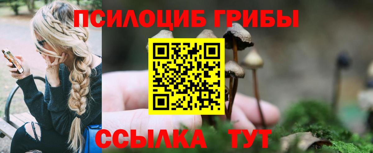 Галлюциногенные грибы Psilocybine cubensis Заречный