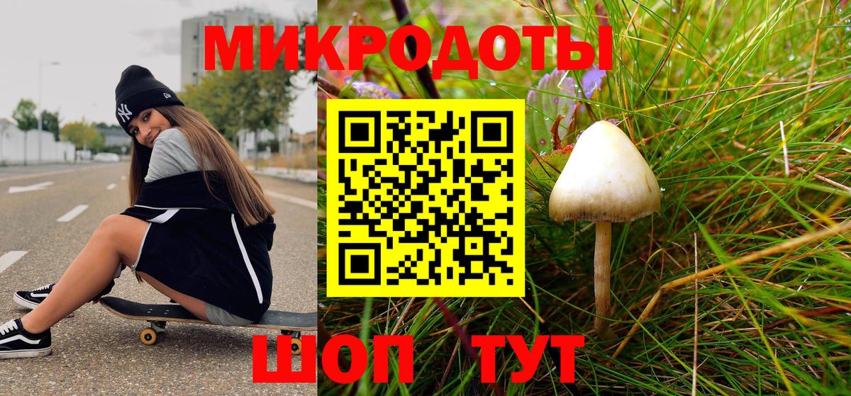 Галлюциногенные грибы GOLDEN TEACHER  Псилоцибиновые грибы GOLDEN TEACHER  Заречный  Вход с VPN 